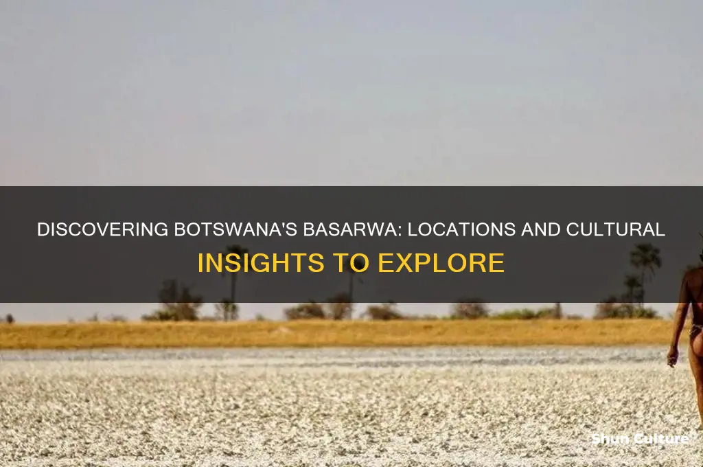 where to find basarwa in botswana