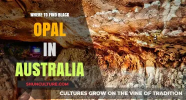 Black Opal Discovery in Australia: Where to Find Them
