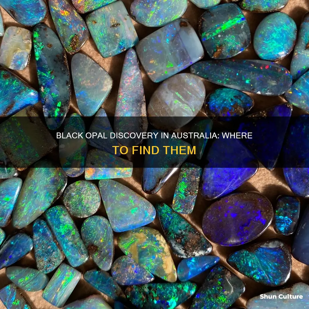 where to find black opal in australia