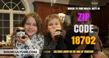 Discover Brazil Nuts Near You in Zip Code 18702: Top Spots