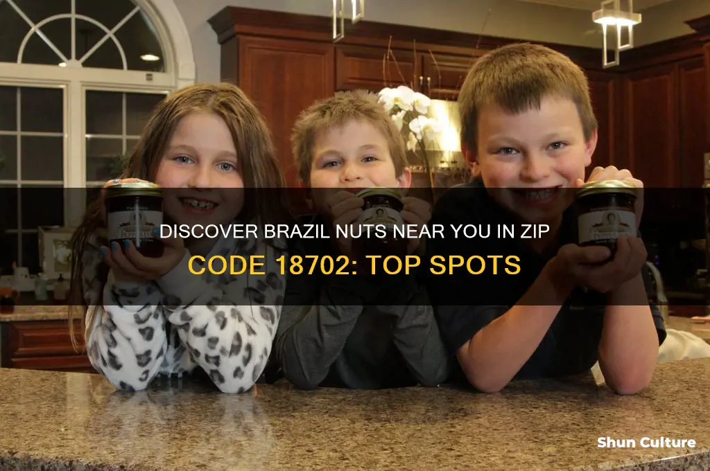 where to find brazil nuts in zip code 18702