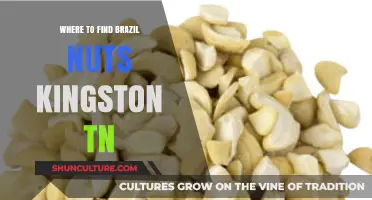 Discover Brazil Nuts in Kingston, TN: Top Local Sources