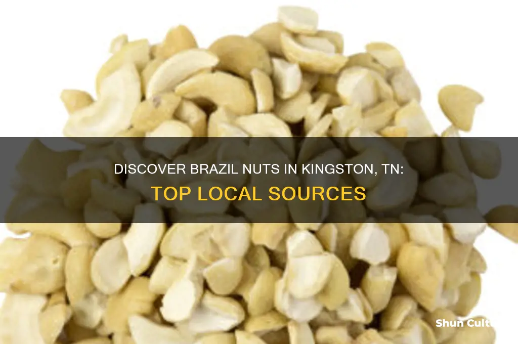 where to find brazil nuts kingston tn