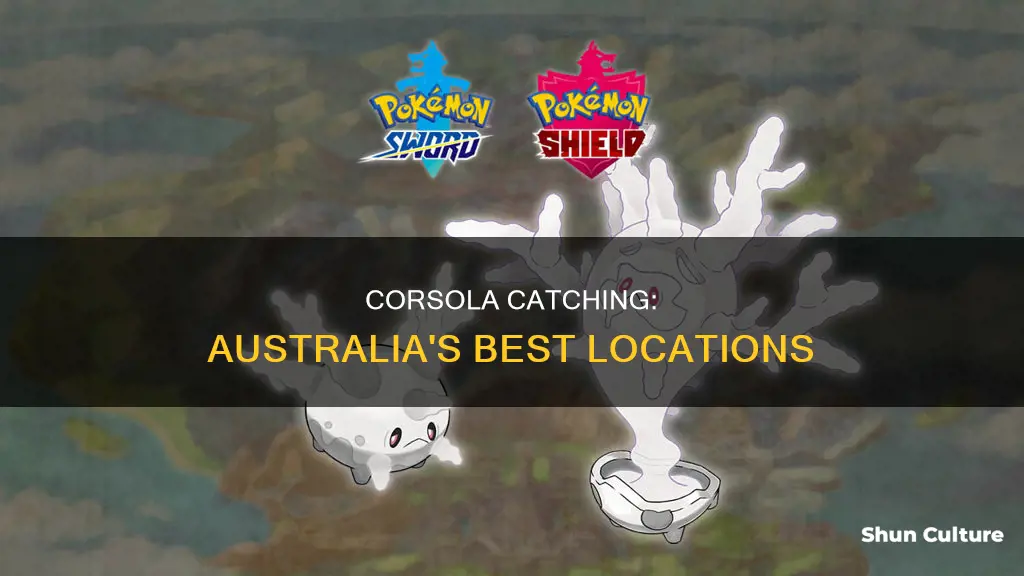 where to find corsola in australia