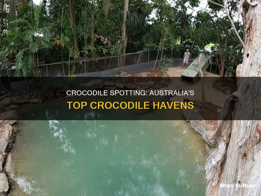 where to find crocodiles in australia