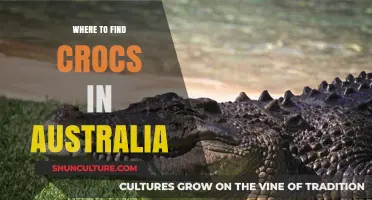 Explore Australia: Find Crocs in the Wild