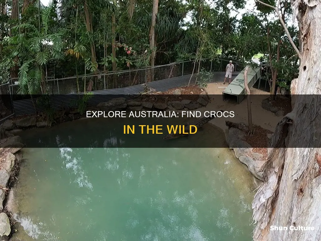 where to find crocs in australia