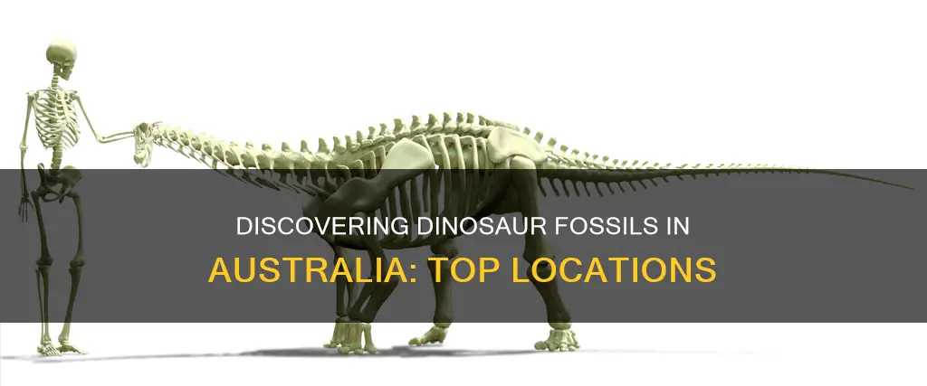 where to find dinosaur fossils in australia