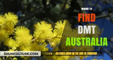 Exploring DMT Sources in Australia