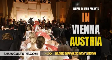Exploring Vienna's Escort Scene: A Guide to Finding Companions