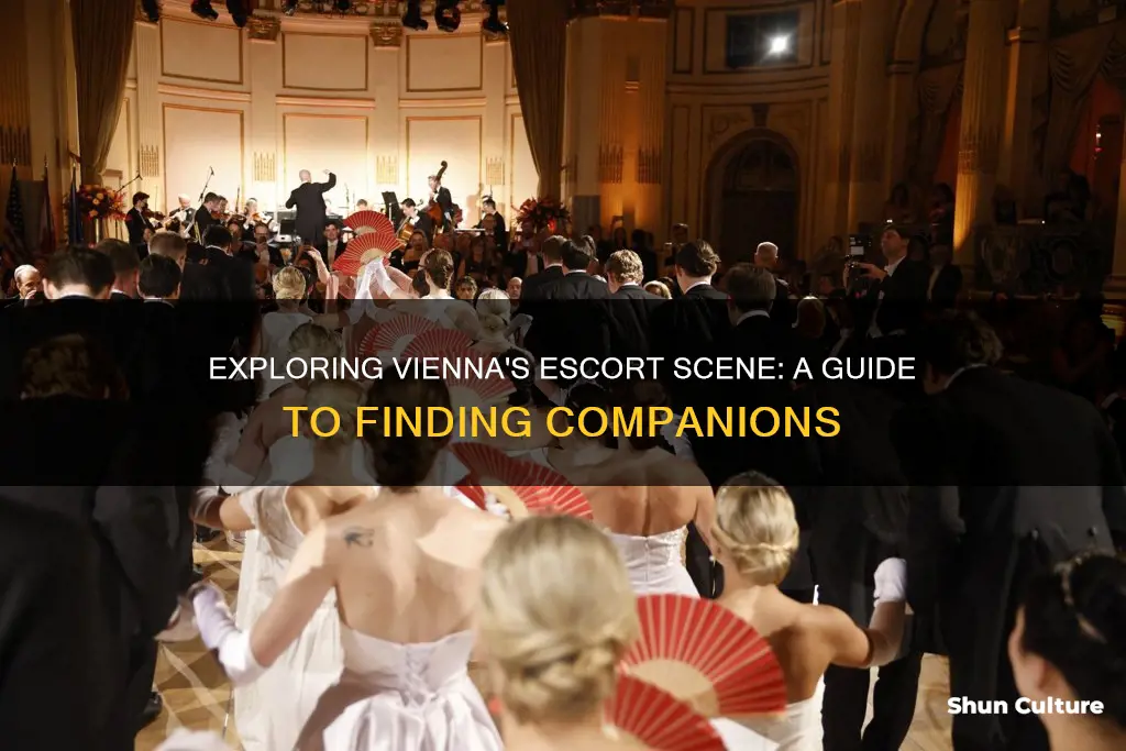 where to find escorts in vienna austria