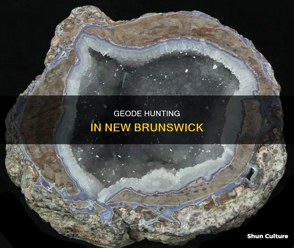 where to find geodes in new brunswick