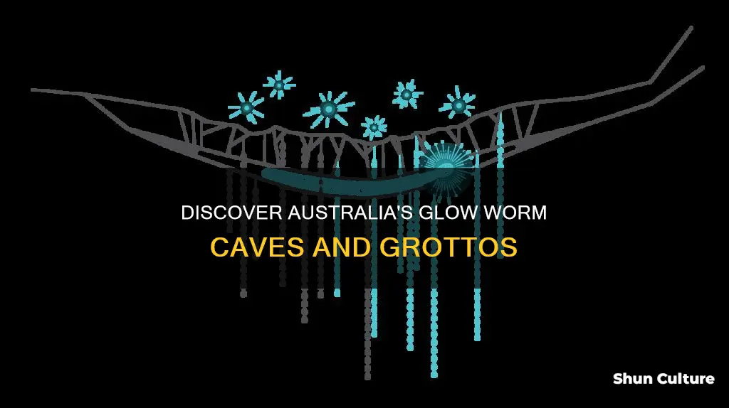 where to find glow worms in australia