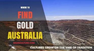 Discover Gold in Australia: Best Locations to Find Gold