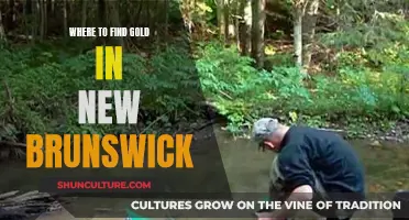 Gold Hunting in New Brunswick