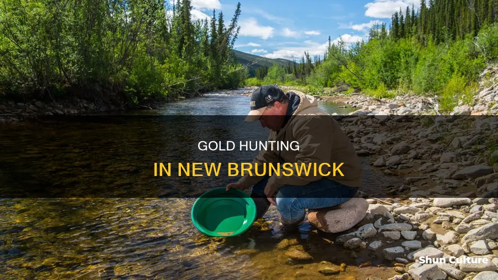 where to find gold in new brunswick