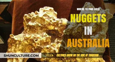Gold Nuggets in Australia: Best Locations to Find Them