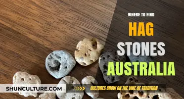 Discover Hag Stones: Australia's Spiritual Treasures