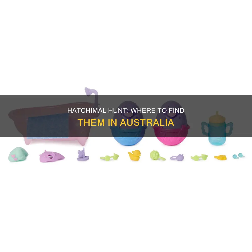 where to find hatchimals in australia