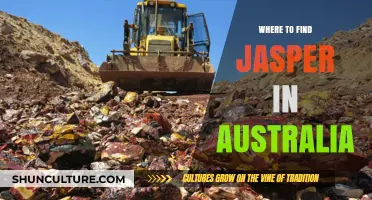 Discover Jasper in Australia: The Ultimate Gemstone Hunting Guide