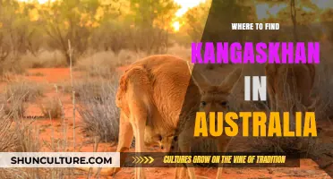 Exploring Australia: Tracking Wild Kangaskhan