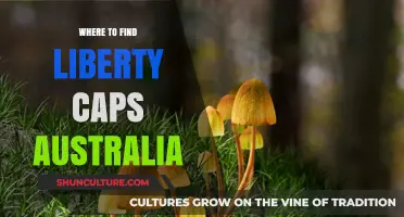 Liberty Caps: Where to Find Them in Australia