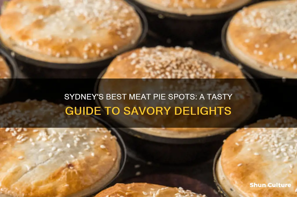 where to find meatpie sydney australia