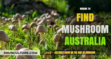 Mushroom Hunting: Australia's Top Spots
