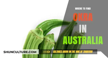 Okra in Australia: Where to Find It