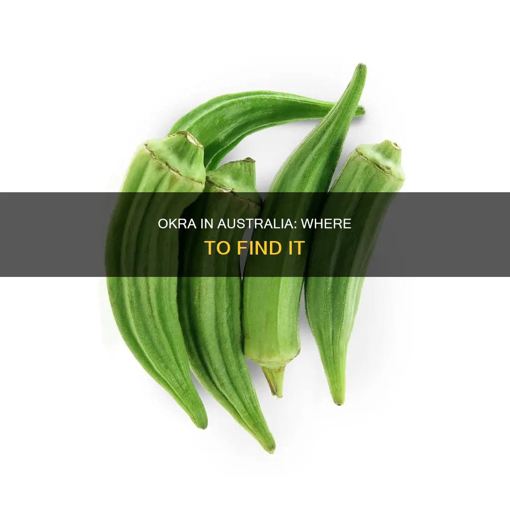 where to find okra in australia