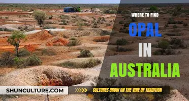 Opal Hunting in Australia: Where to Find These Gems