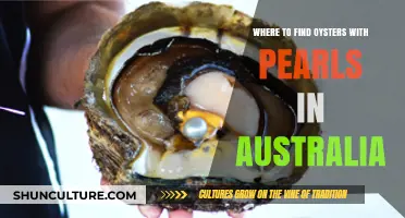 Discovering Pearly Oysters in Australia's Coastal Waters