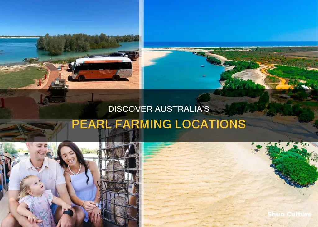 where to find pearls in australia