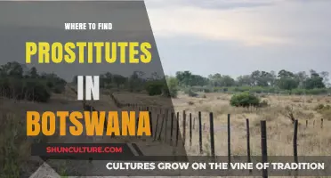 Exploring Botswana's Red-Light Districts: Locations and Safety Tips