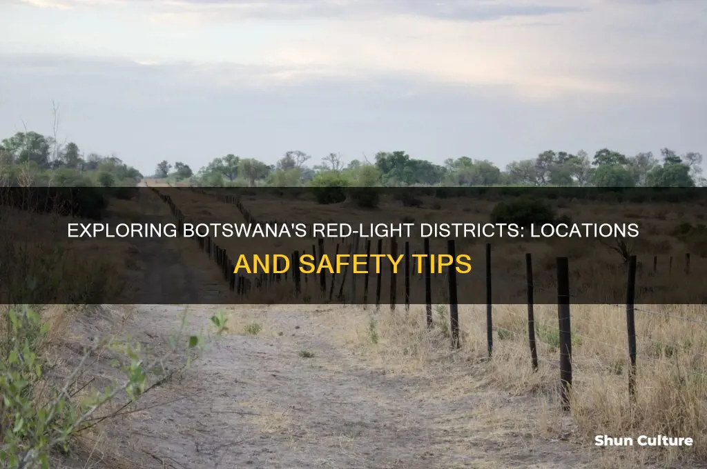 where to find prostitutes in botswana