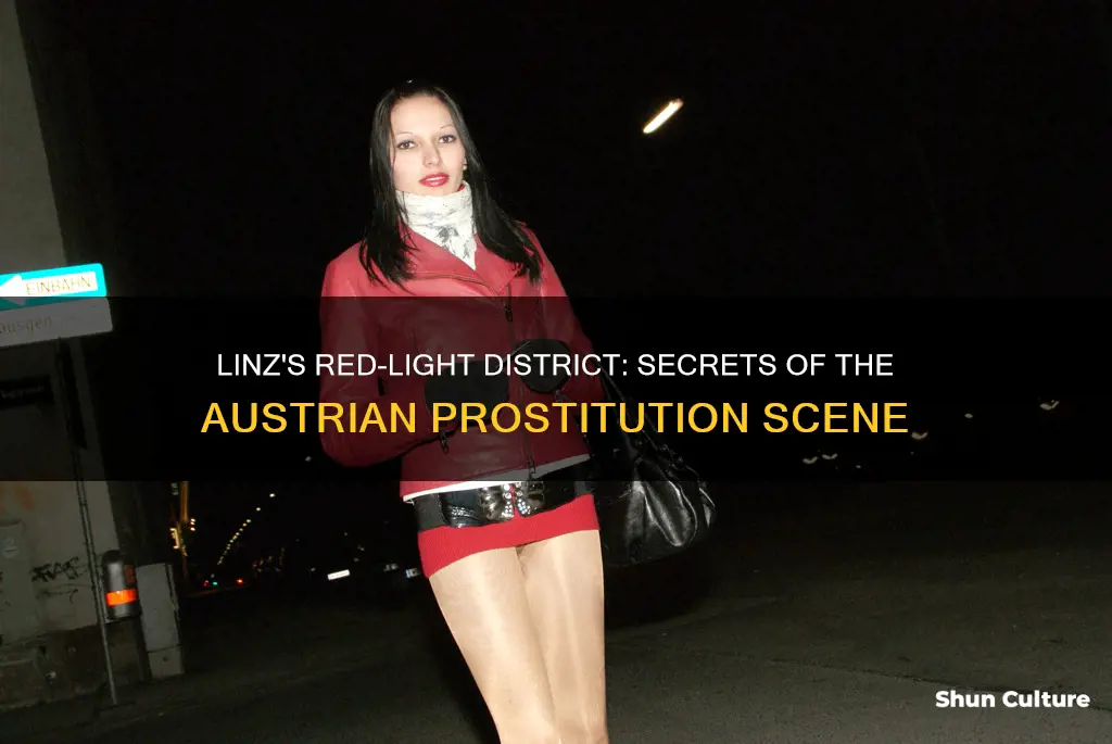 where to find prostitutes in linz austria