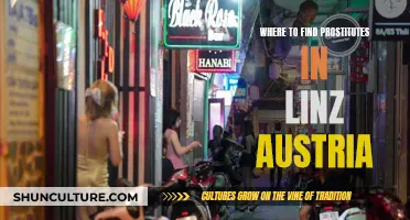 Linz's Red-Light District: Where to Go and What to Know