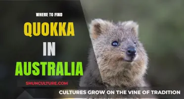 Spotted: Quokkas in Australia