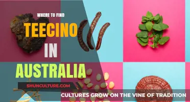 Teechino in Australia: Where to Find It