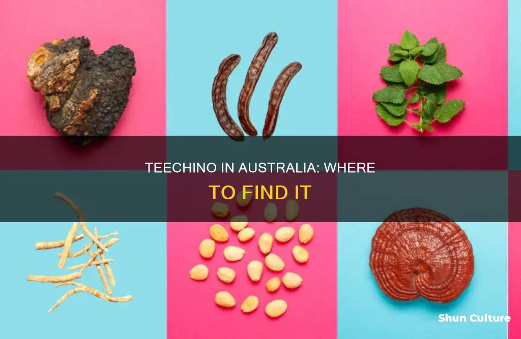 where to find teecino in australia