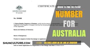 Patent Numbers: Australia's Database Search Guide
