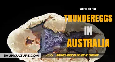 Discover Thundereggs in Australia: The Ultimate Gem-Hunting Guide