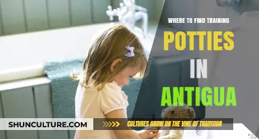 Where to Find Training Potties in Antigua: A Parent's Guide