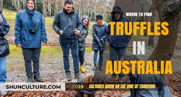 Discovering Truffles in Australia: A Guide