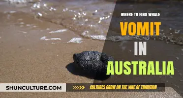Hunting for Whale Vomit: An Australian Guide