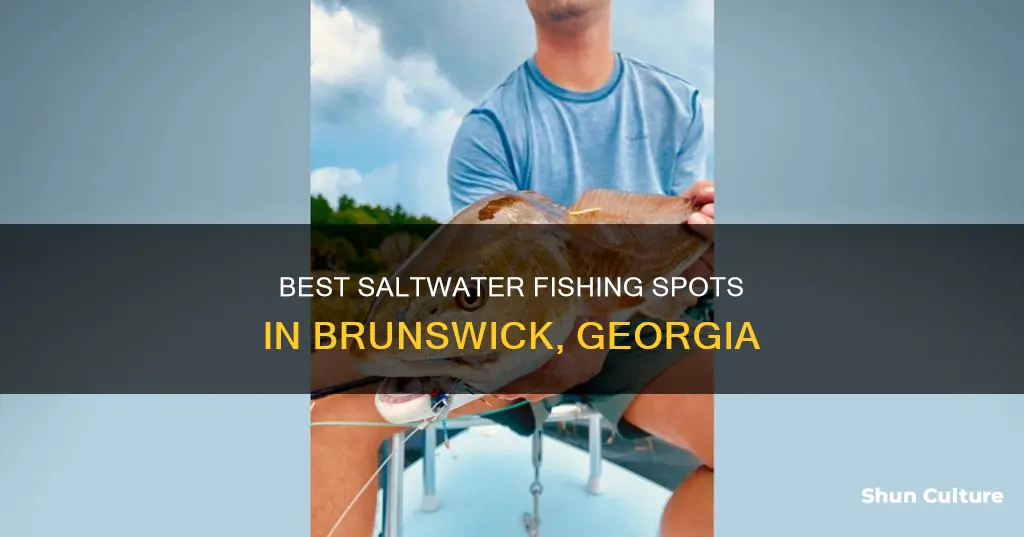 where to fish brunswick georgia saltwater