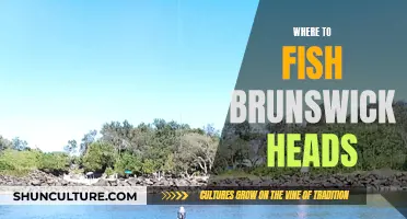 Fishing Hotspots in Brunswick Heads