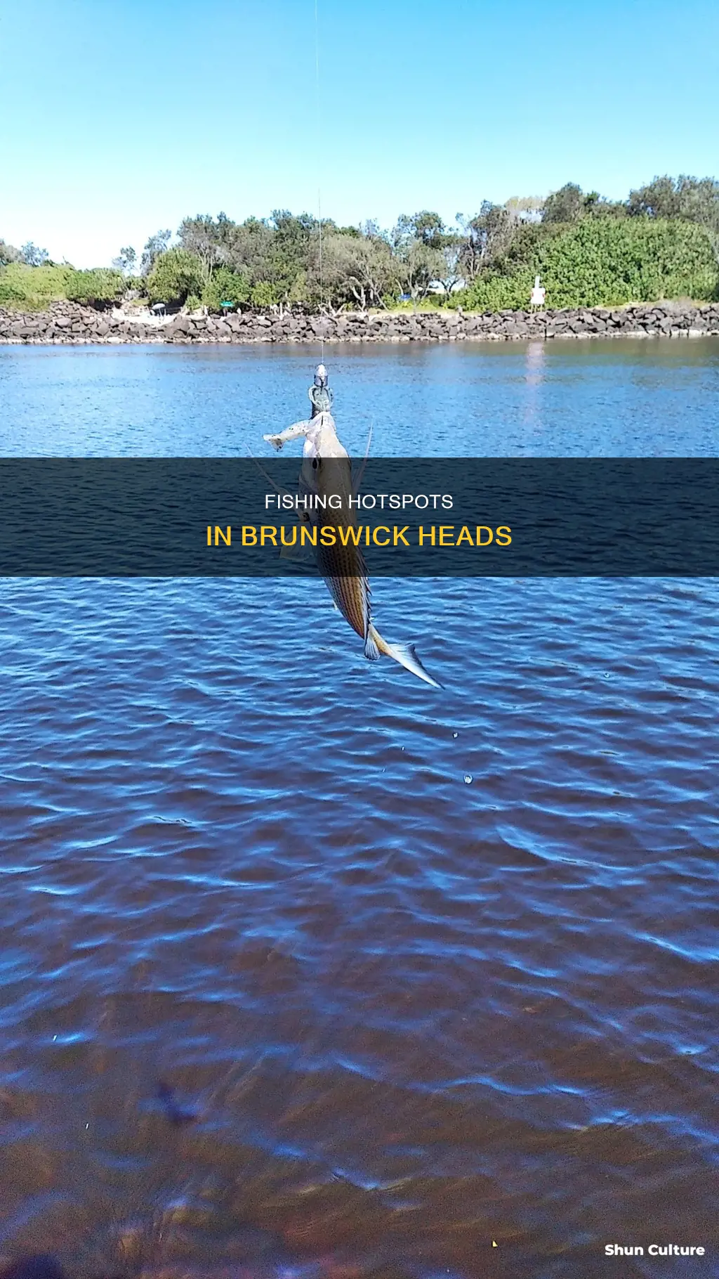 where to fish brunswick heads