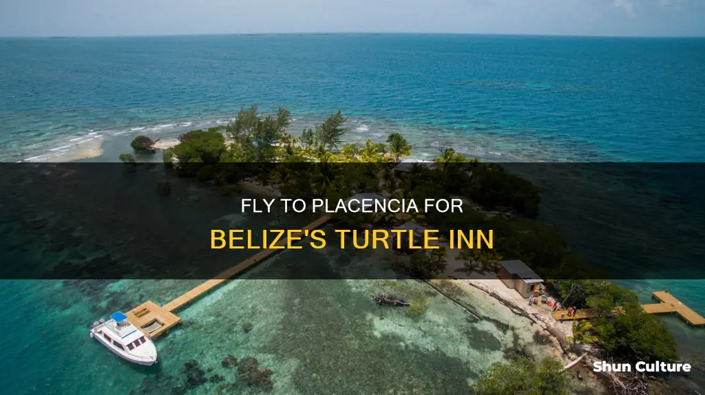 where to fly for turtle inn belize