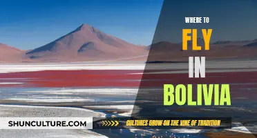 Discover Bolivia's Top Aerial Adventure Spots